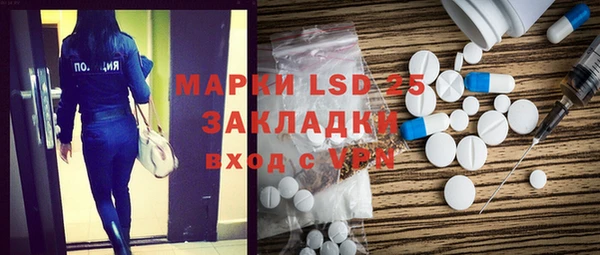 прущие грибы Абаза