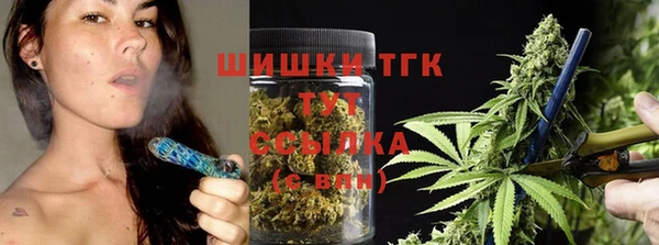 прущие грибы Абаза