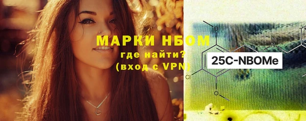 прущие грибы Абаза
