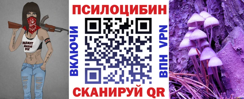 купить   Адыгейск  Галлюциногенные грибы мицелий 